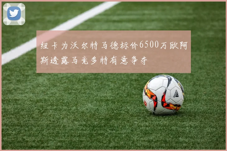 纽卡为沃尔特马德标价6500万欧阿斯透露马竞多特有意争夺