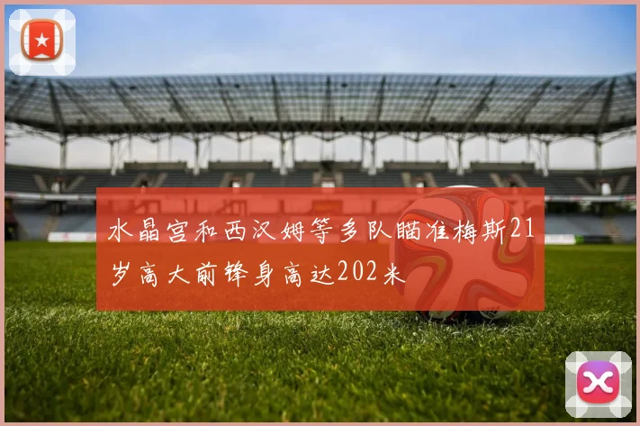 水晶宫和西汉姆等多队瞄准梅斯21岁高大前锋身高达202米
