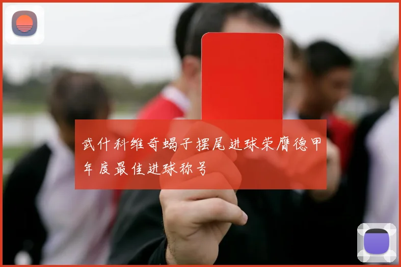 武什科维奇蝎子摆尾进球荣膺德甲年度最佳进球称号